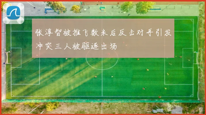 张淳智被推飞数米后反击对手引发冲突三人被驱逐出场